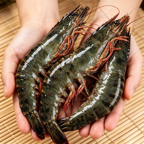 Frozen Giant Tiger Prawns - view 2