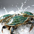 Frozen Whole Swimming Crab - view 1