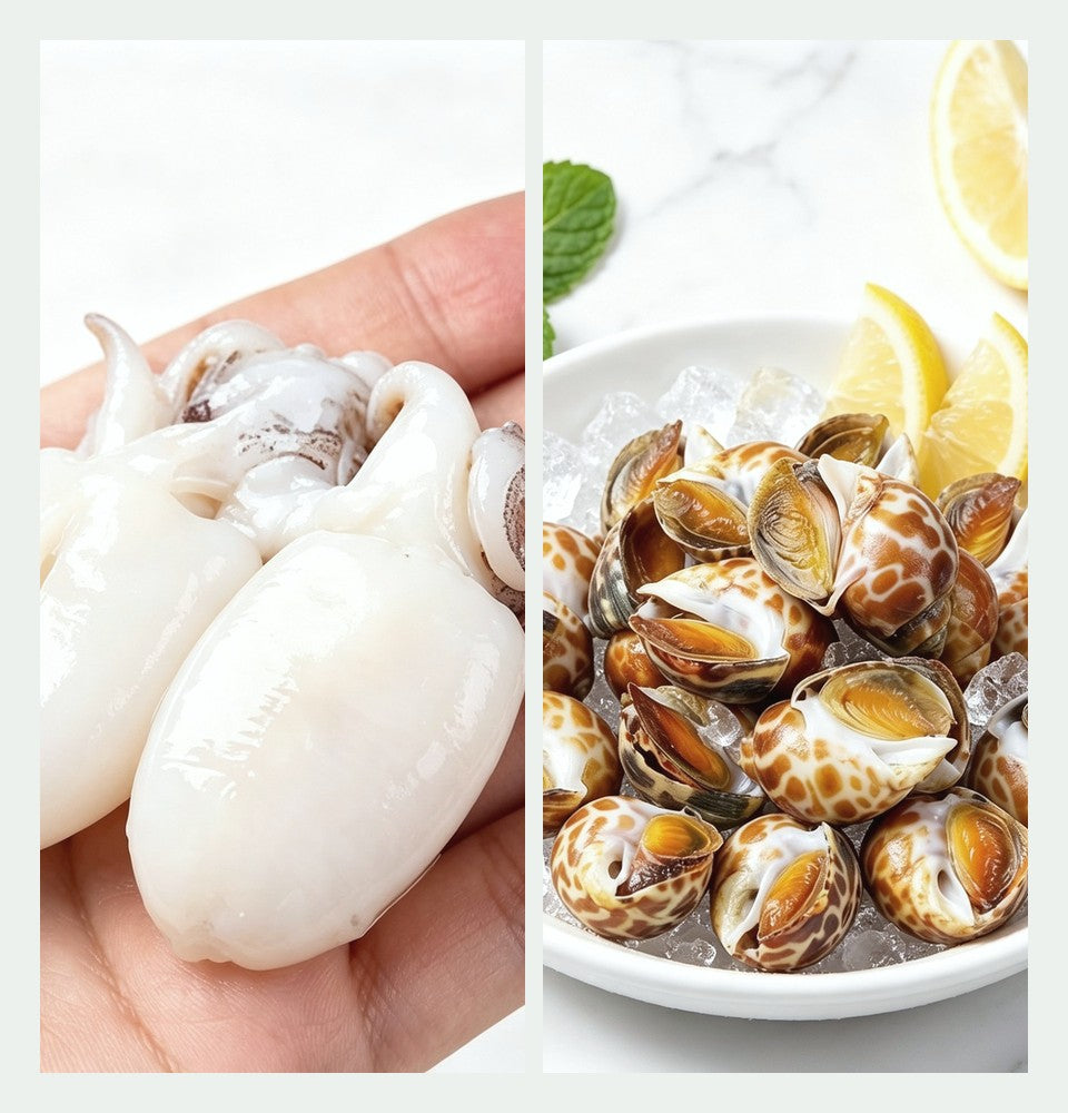 Snails & Cuttlefish